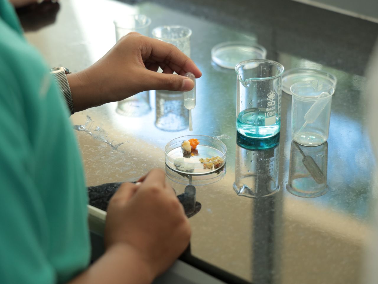 Primary-Science-Room-15.jpg